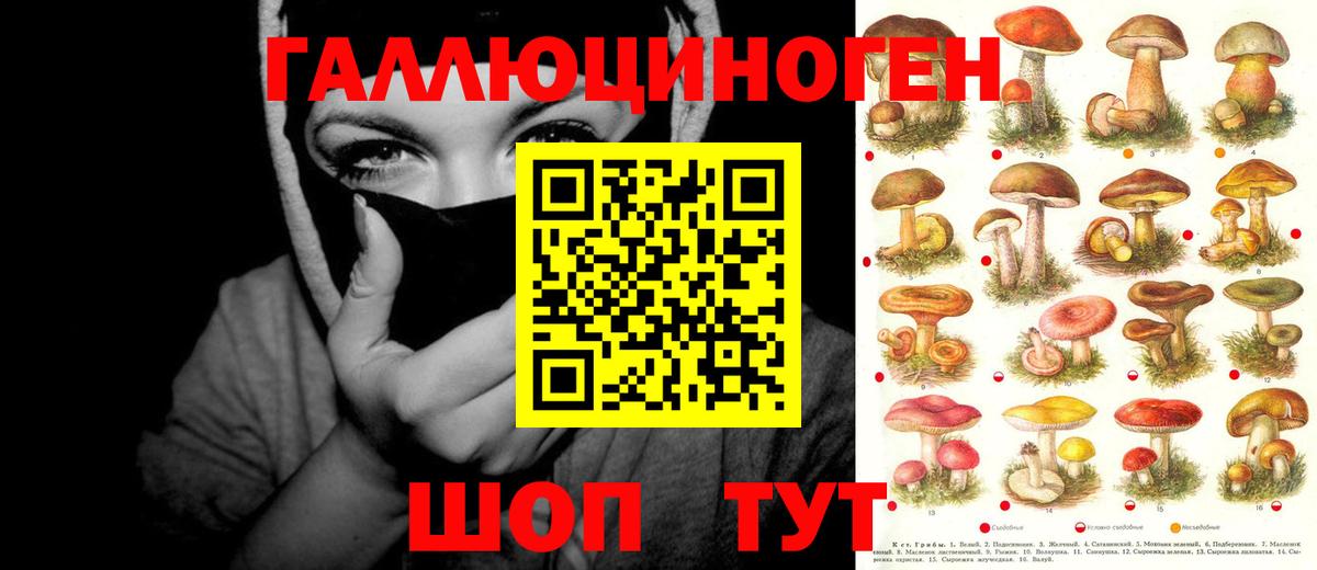 Галлюциногенные грибы прущие грибы Алексеевка