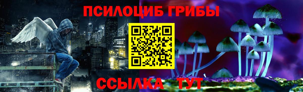 Галлюциногенные грибы Psilocybine cubensis  Вход с VPN  Алексеевка 